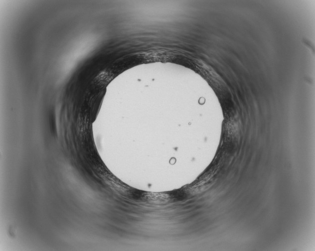 X0000097860429200804111158