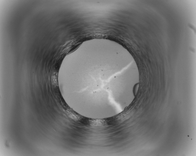 X0000097860432200804111158