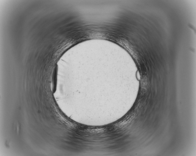 X0000097860433200804111157