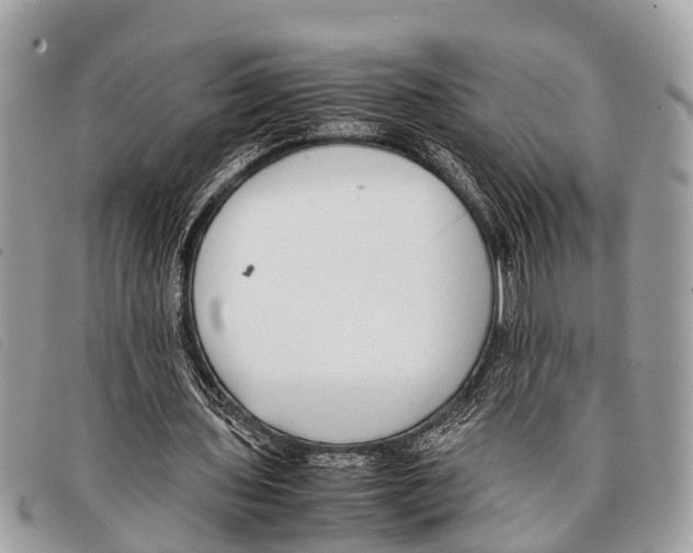 X0000097860435200804111157