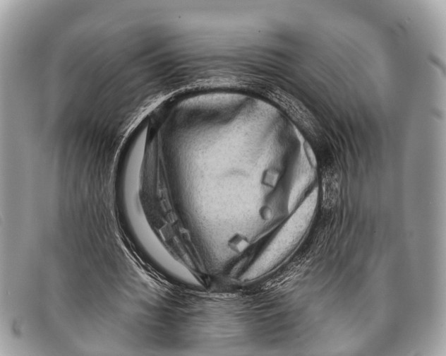 X0000097860436200804111157