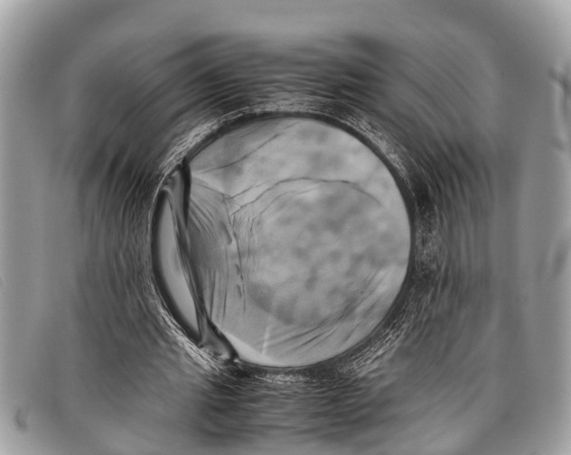 X0000097860437200804111157