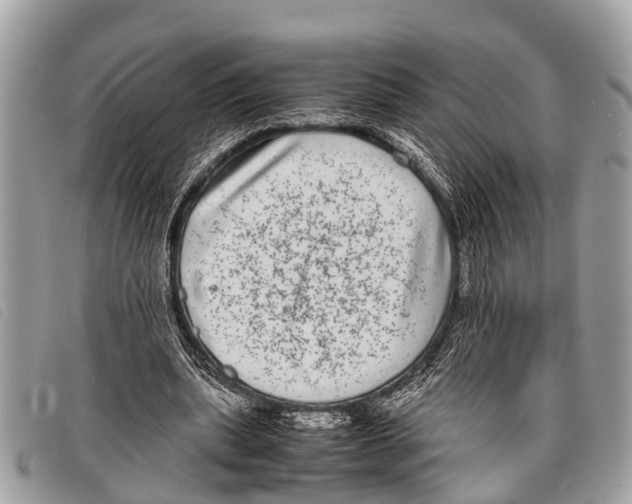 X0000097860439200804111157