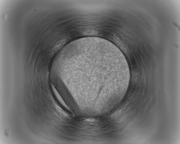 X0000097860441200804111157