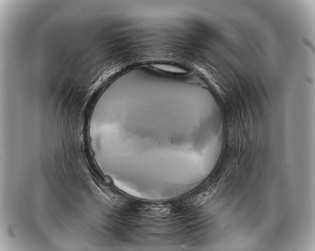 X0000097860443200804111157