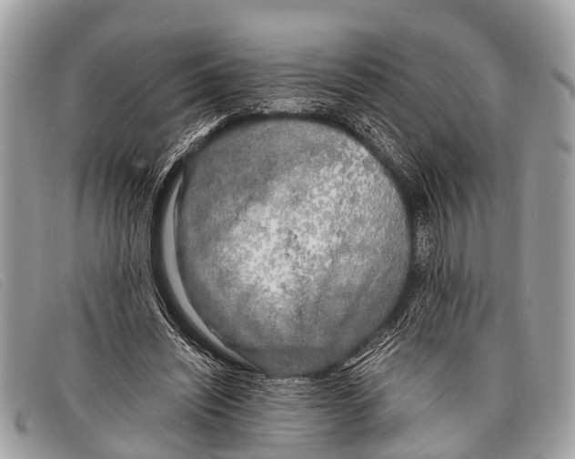 X0000097860444200804111157