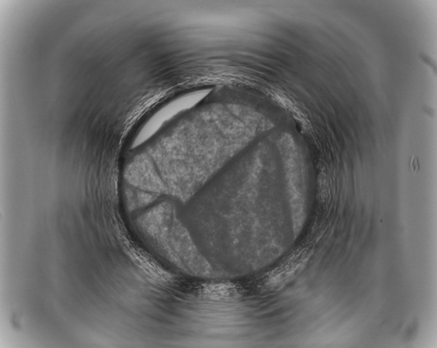 X0000097860446200804111157