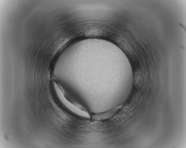 X0000097860448200804111157