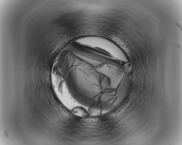 X0000097860449200804111157