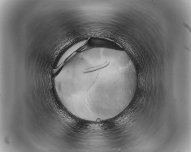 X0000097860450200804111157