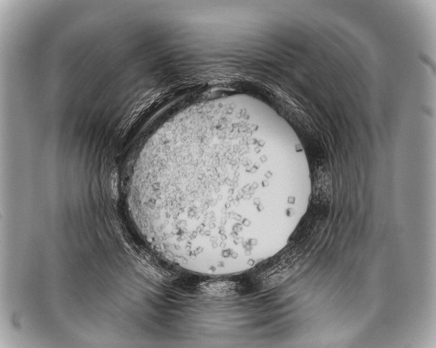 X0000097860452200804111157