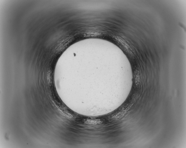 X0000097860455200804111157