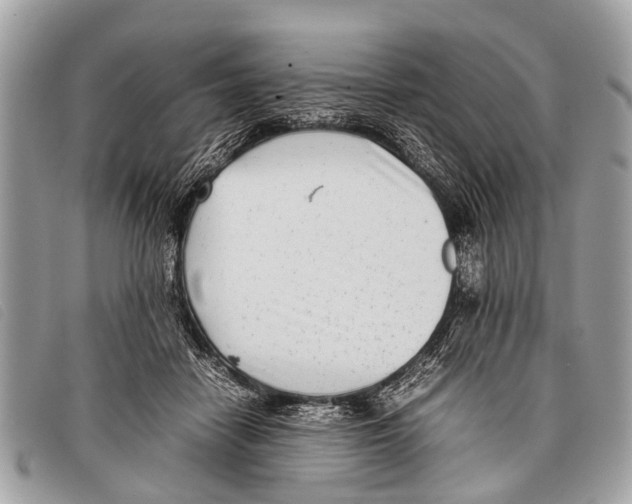 X0000097860458200804111157