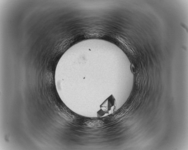 X0000097860459200804111157