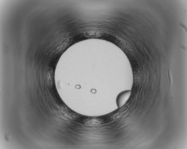 X0000097860460200804111157