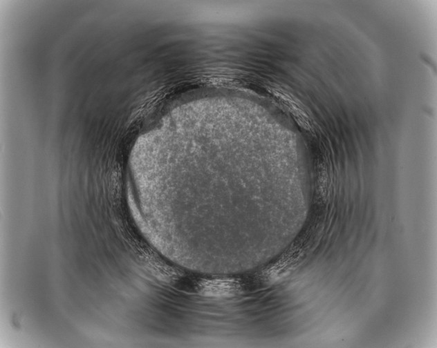 X0000097860461200804111157