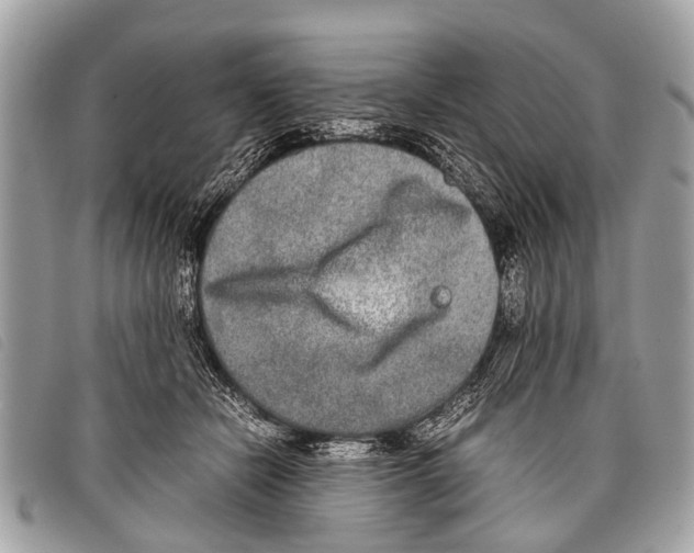 X0000097860462200804111157