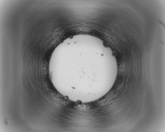 X0000097860464200804111157