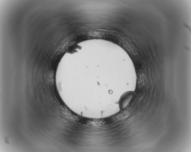 X0000097860466200804111157