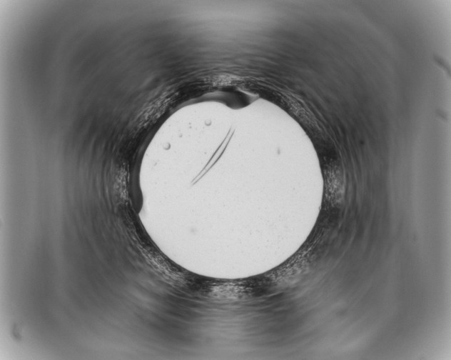 X0000097860470200804111158