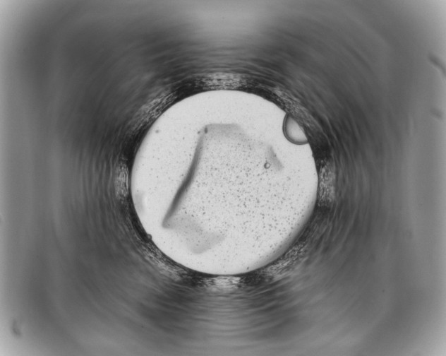 X0000097860474200804111158