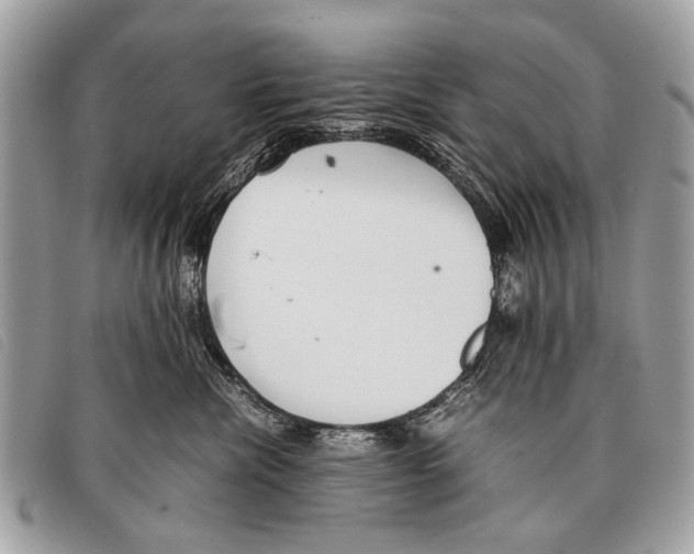 X0000097860476200804111158