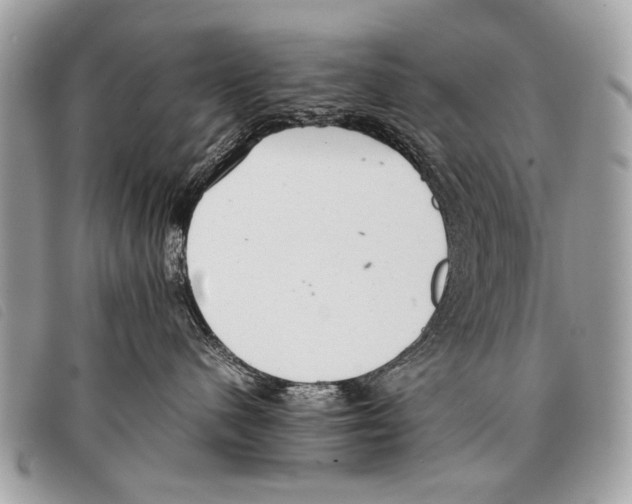 X0000097860480200804111158