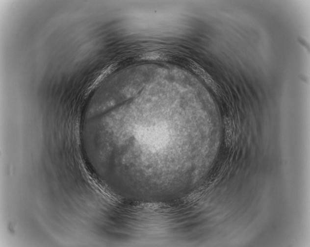 X0000097860482200804111157