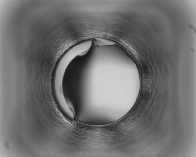 X0000097860485200804111157