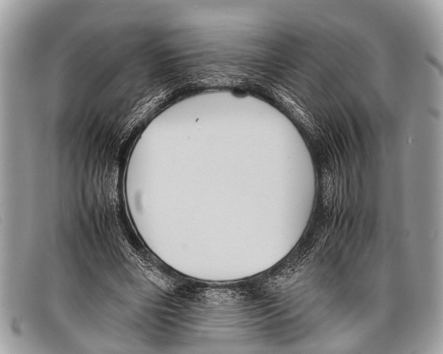 X0000097860490200804111157