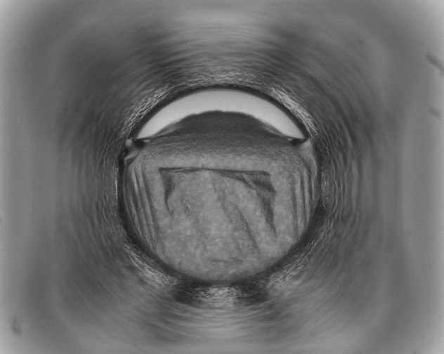 X0000097860493200804111157