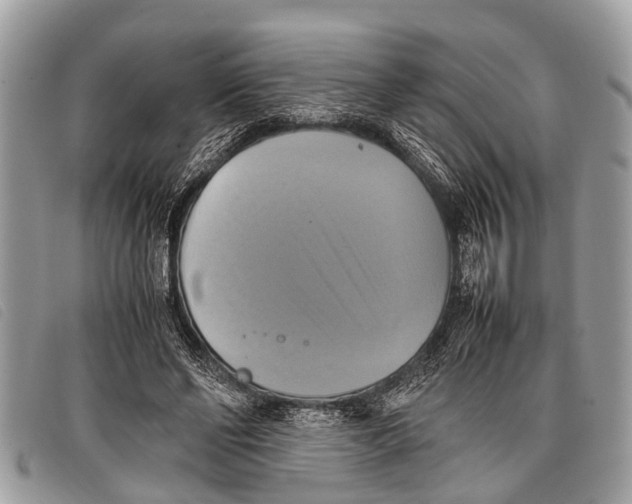 X0000097860494200804111157