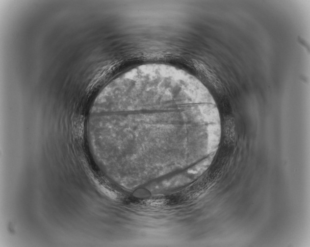 X0000097860495200804111157