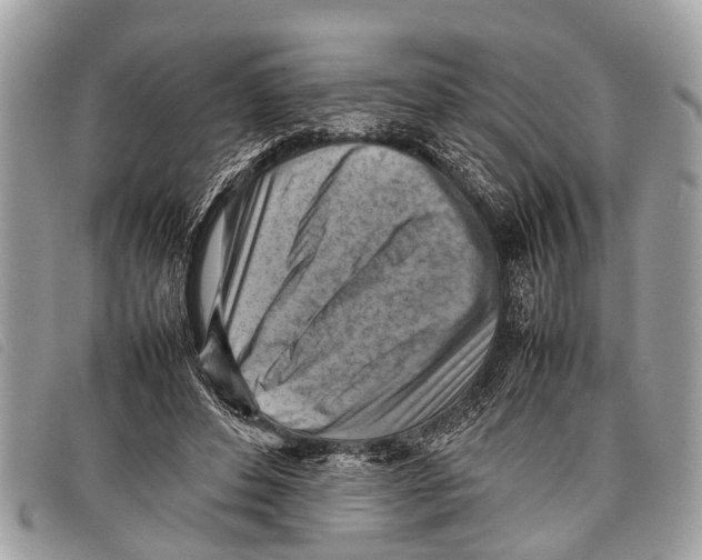 X0000097860496200804111157