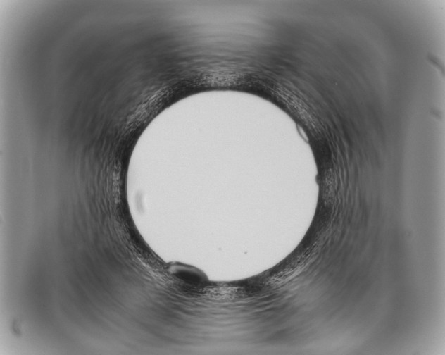 X0000097860497200804111157