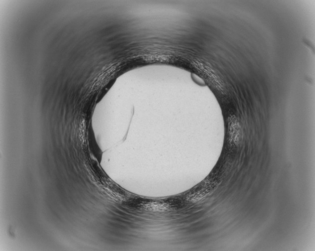 X0000097860498200804111157