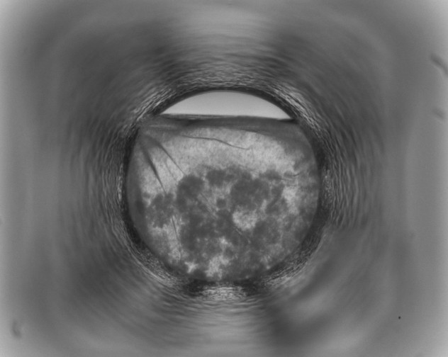 X0000097860499200804111157