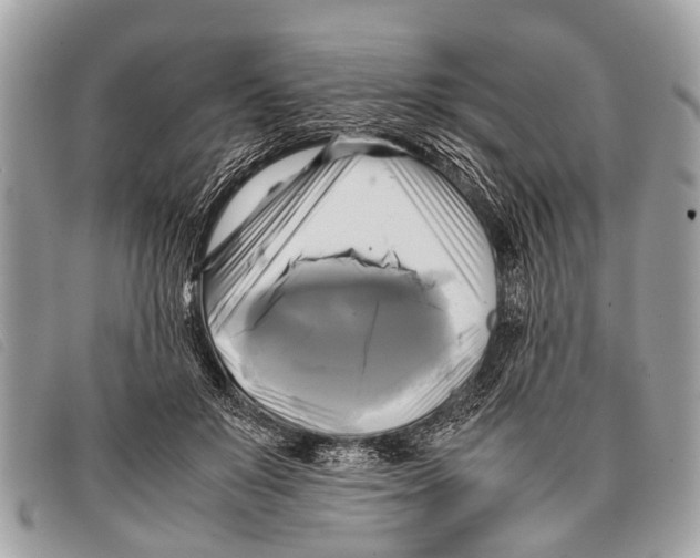 X0000097860503200804111157