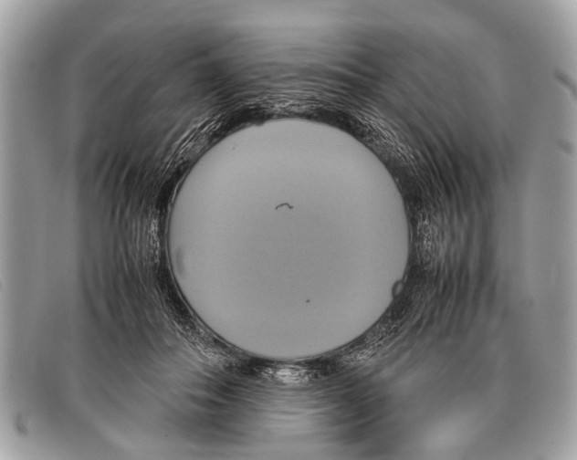 X0000097860506200804111157