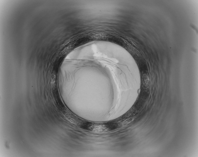 X0000097860507200804111157