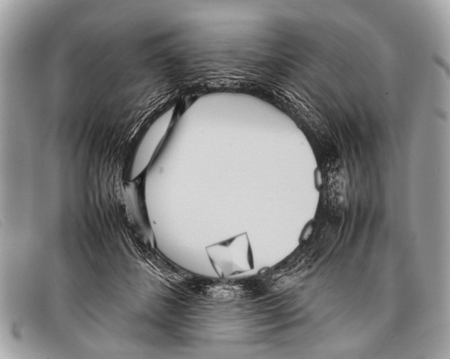 X0000097860508200804111157