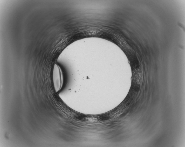 X0000097860509200804111157