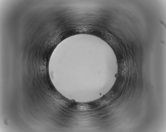 X0000097860510200804111156