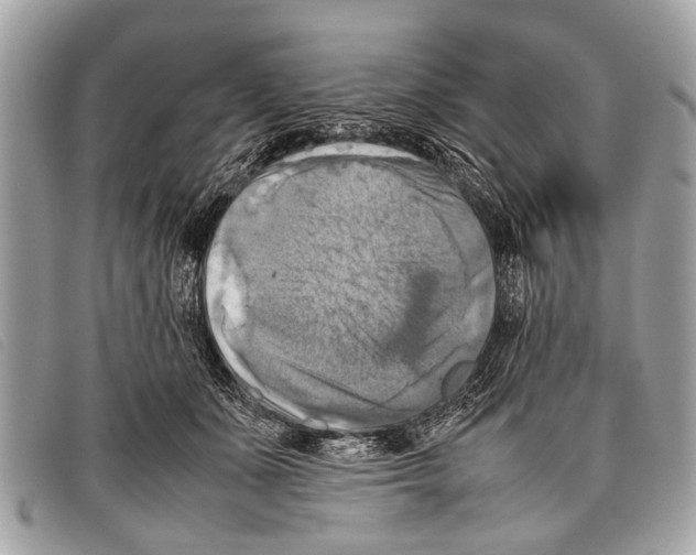 X0000097860511200804111156