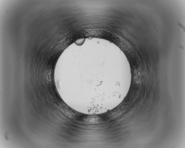 X0000097860514200804111156