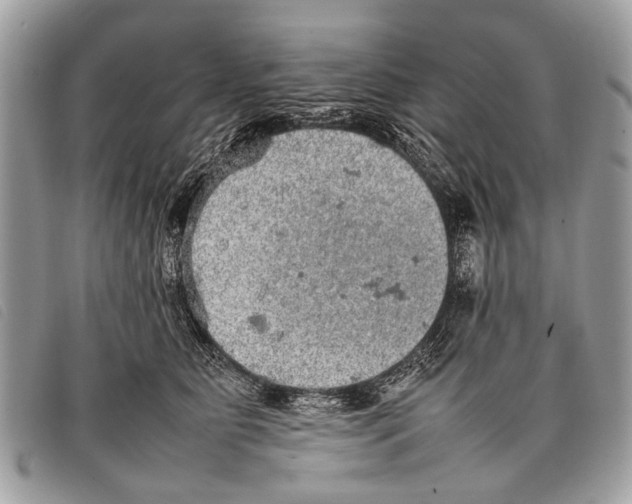 X0000097860515200804111156