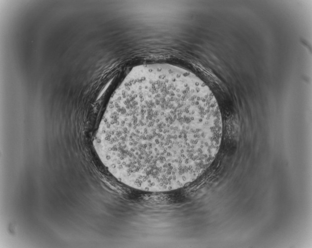 X0000097860517200804111156