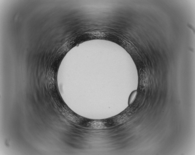 X0000097860518200804111156