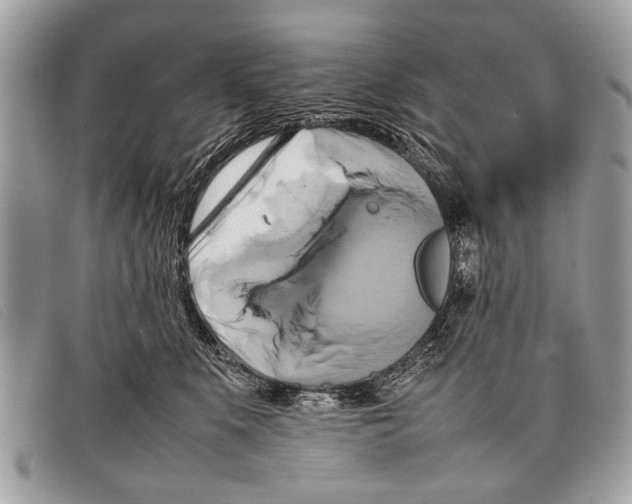 X0000097860519200804111156