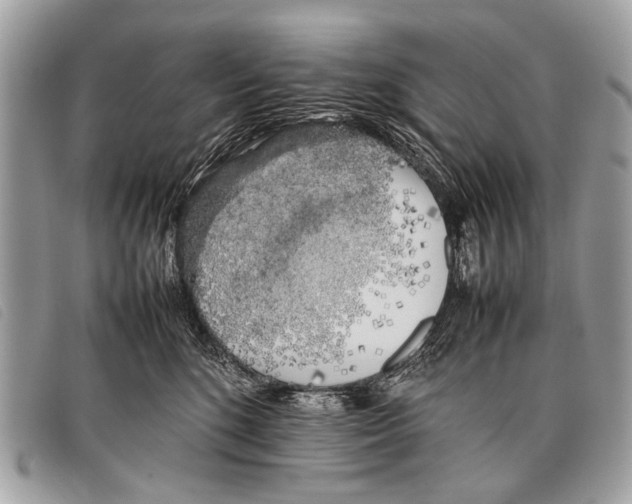 X0000097860520200804111156